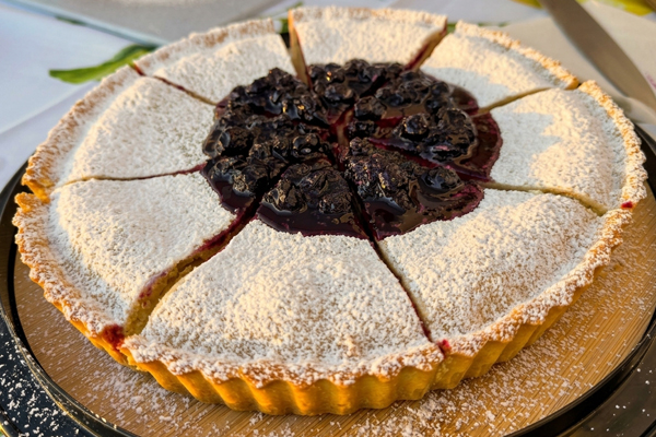 Decadent Blueberry Cake